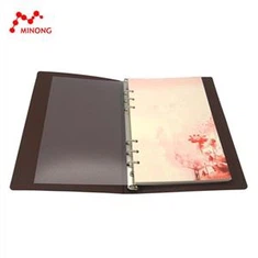 Caiet Jurnal Jurnal